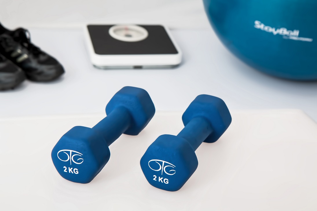 fitness-exercise-workout-meal-health-body-endurance-muscle