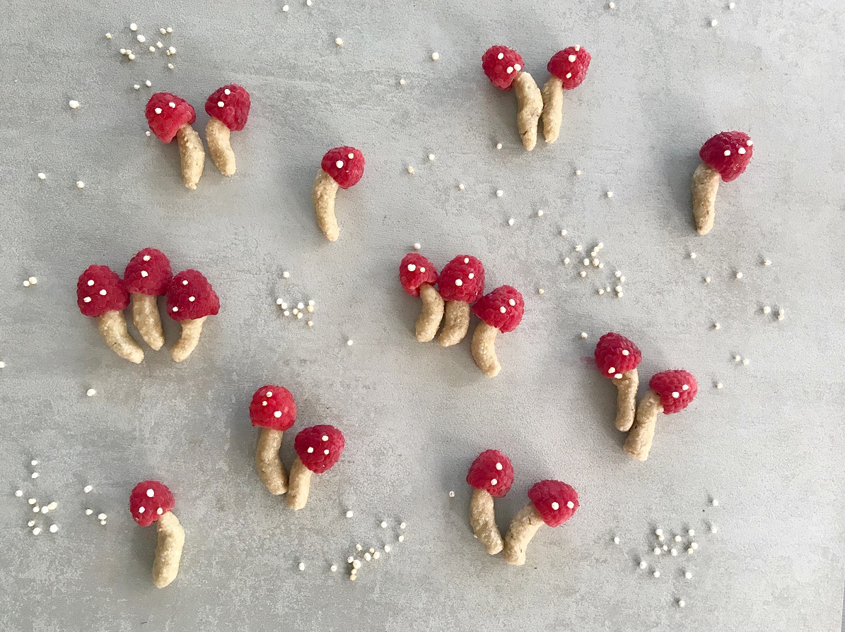 raspberry-raspberries-dessert-sweet-cookie-cookies-Iceberg Salat Centar
