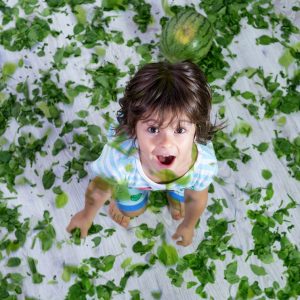 vitamin-vitamins-family-heath-values-baby spinach-spinach-Iceberg Salat Centar