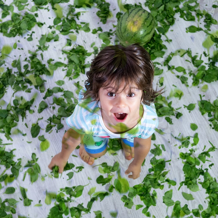 vitamin-vitamins-family-heath-values-baby spinach-spinach-Iceberg Salat Centar